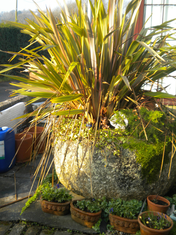 Large Rustic Granite Trough